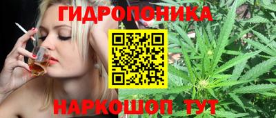 кристаллы Гусь-Хрустальный