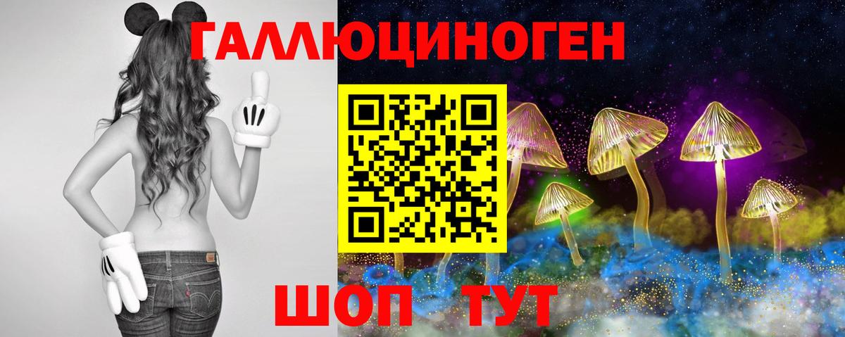 Галлюциногенные грибы GOLDEN TEACHER  Вход с VPN  Псилоцибиновые грибы мицелий  Ирбит 