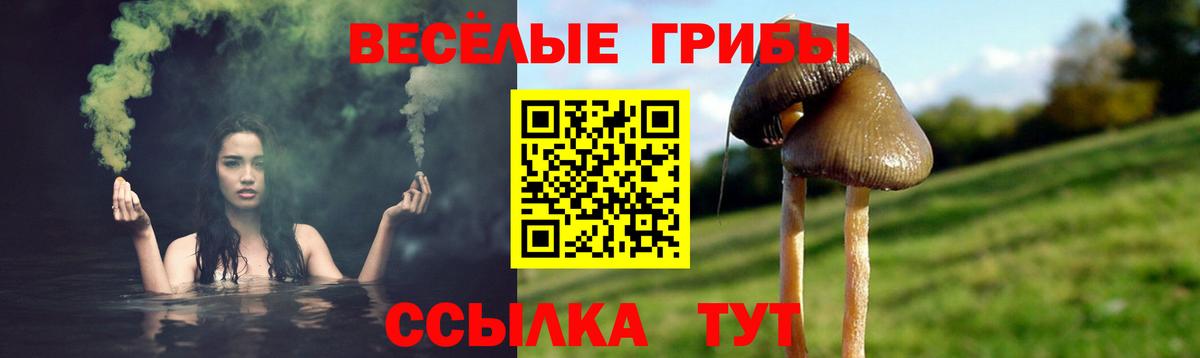 Галлюциногенные грибы MAGIC MUSHROOMS Ирбит